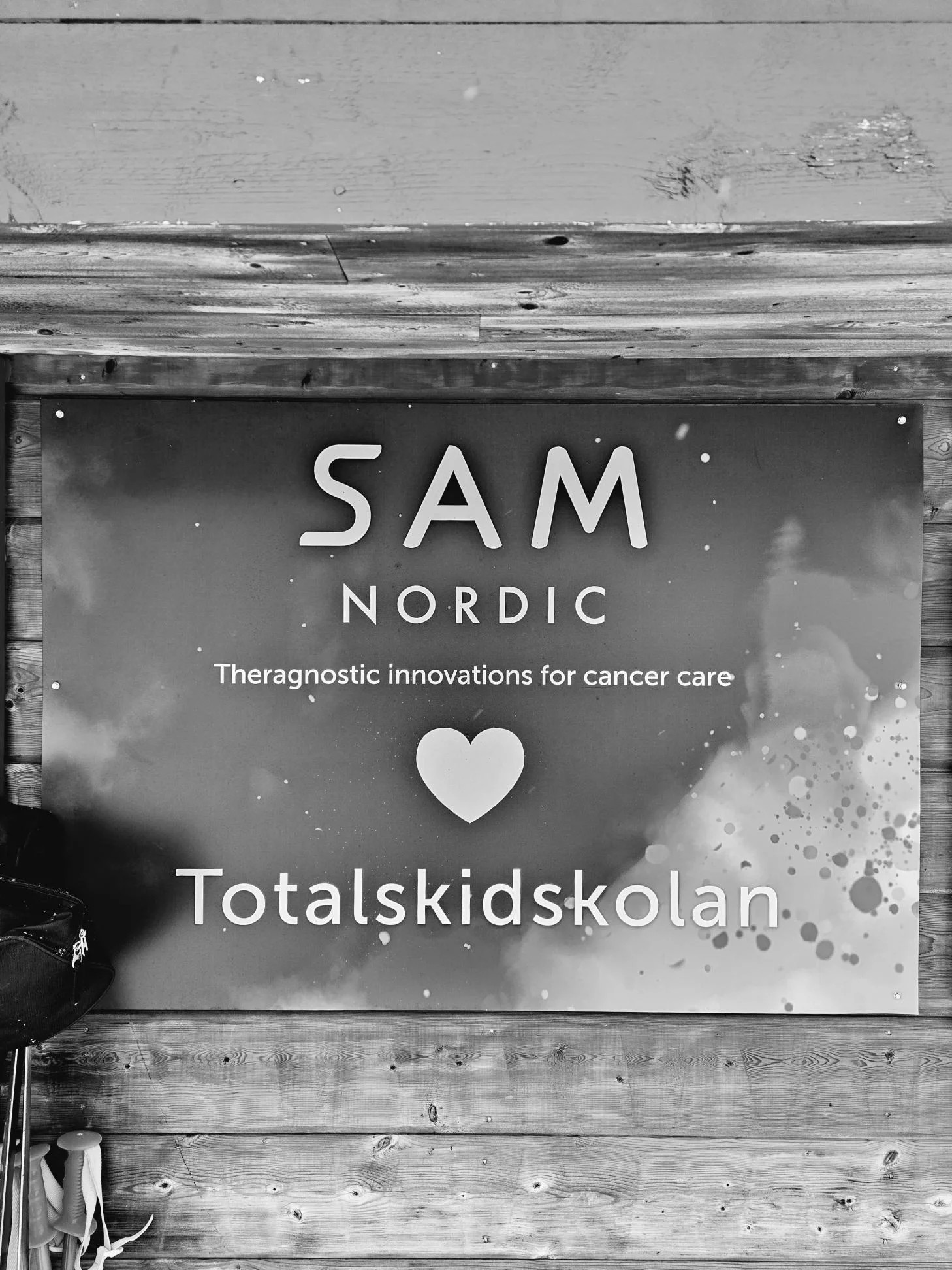 Totalskidskolan_SAM.png